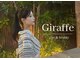 ジラフ(Giraffe)の写真