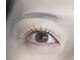 エクラ(eclat)の写真