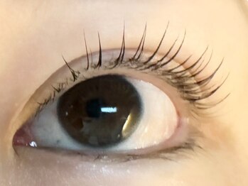 カルム 妙蓮寺(CALME)の写真/エステサロンならではのまつ毛パーマで自まつげに優しく☆アイリフトアップケアをプラスして目元スッキリ♪