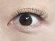 カフカ(Cafca)の写真/【上本町駅すぐ】30～50代の大人女性に大人気！歴10年のスタッフによる通いやすいプライベートアイサロン♪