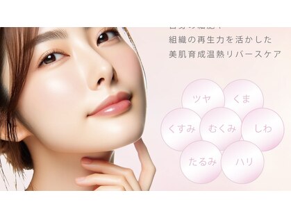 もみの樹の写真