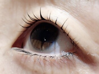 カラン 焼津店(CALIN)/ラスティングカール