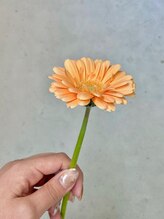 トイロ(toiro)&nbsp;aoi 