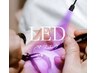 【LED×フラットラッシュ100本】¥9300→¥8800