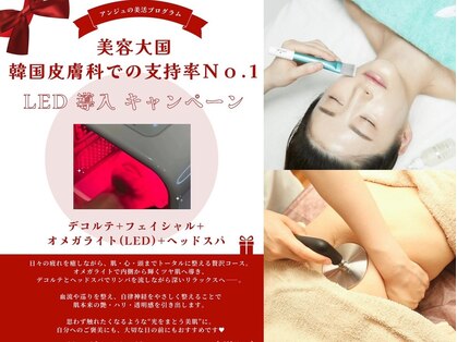 アンジュの写真