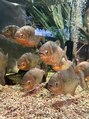 ビーズネイル アンド アイラッシュサロン イオン名護店&nbsp;水族館に居たお魚さん、この子たちは何を考えてるんだろうw
