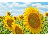【夏季限定】背中泡パック＋全身骨格調整＋リンパマッサージ　　90分