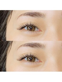 アグライア(Aglaia)/perfectlash160本