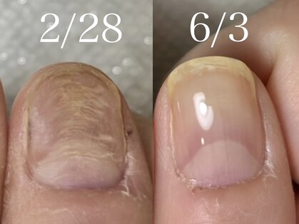 スティラ(Stila)の写真