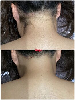 アンジュヴィバラヴィーダ(Ange viva la vida)/