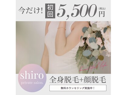 シロ(shiro)の写真