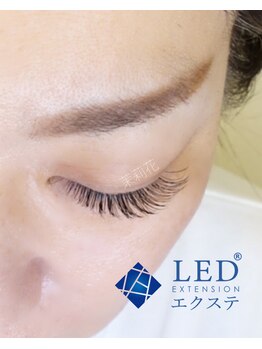 茉莉花/目を閉じていても美しい目元