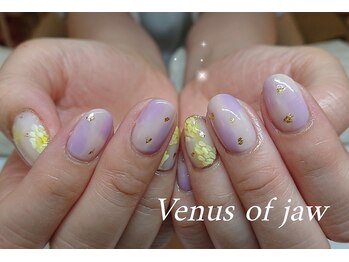 ヴィーナスオブジョー(Venus of jaw)/