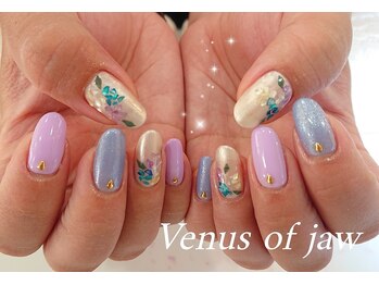 ヴィーナスオブジョー(Venus of jaw)/