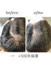 【増毛エクステ500本】22000→17000 地肌の透け感が気になる方へ。