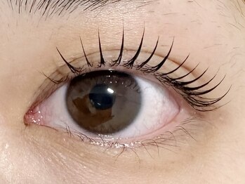 グニー(gunii)/パリジェンヌラッシュリフト