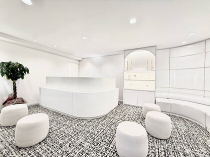 コツメグリの写真