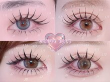 ビーナスベルト 原宿(VENUS BELT)