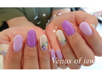 ヴィーナスオブジョー(Venus of jaw)/