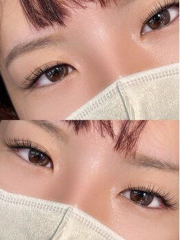 レシェリマ(Lesherima)/マッフルラップ60束