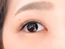 ピュアリス(Pualice)/フラットラッシュ140本