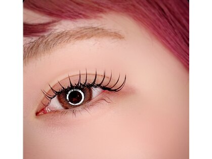 スターリー ラッシュ(Starry Lash)の写真
