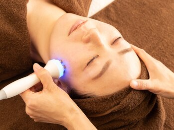 ドルフィン(DOLPHIN)/ポレーション