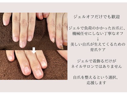 ビビィ(vivie)の写真