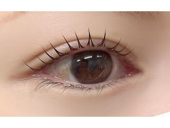 アルファシャルル 那覇 おもろまち(α.chalulu)/まつげパーマ/アイブロウ