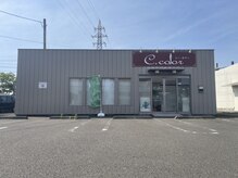 シーカラー 中野栄店(C.color)