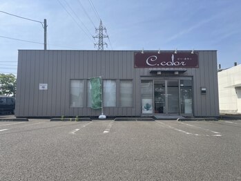 シーカラー 中野栄店(C.color)の写真/仙石線【中野栄駅】徒歩30秒の好立地!幅広い年齢層に人気のメニューやクイック/時短の同時施術メニューも◎