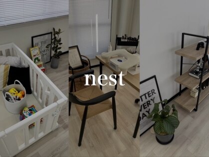 ネスト(nest)の写真