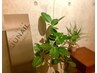 【ご新規様】他店付け替えオフ無料！！