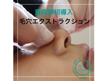 リレハウス(LileHouse)の雰囲気（青森県初導入！毛穴エクストラクション）