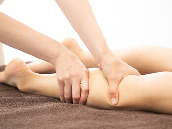 モンステラ(MONSTERA)/