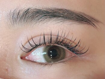 ダズル(DAZZLE)/シングルラッシュ100本