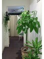小顔22 ボルティ 本店(Bolty)&nbsp;サロンの植物を毎日育てております。是非見てみてください。