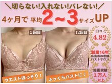 バストサロン メルベイユ(Merveile)