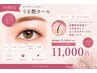 初回限定【目元が変わるエステ】×【毛質改善うるツヤカール】¥15400⇒¥11000