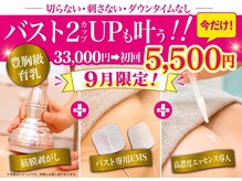 美人バスト新潟