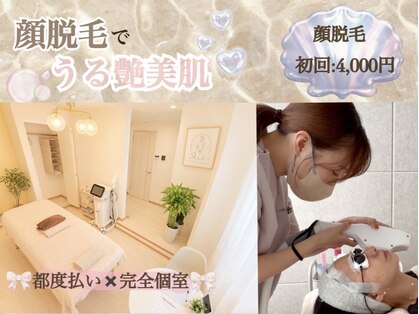 スゥ(Suu)の写真