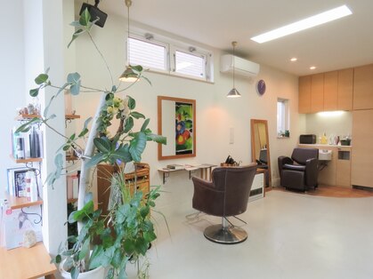 ルフトヘアー(Luft Hair)の写真