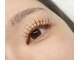 ソミ(SOMI)の写真