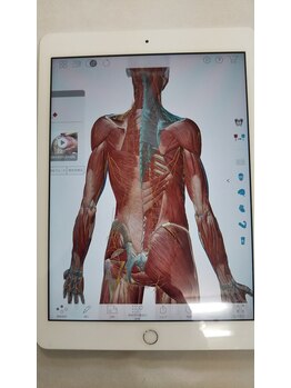 友カイロプラクティックセンター/解剖学の画像を見ながらの説明