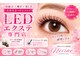 ネリネ(Nerine)の写真
