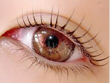 クルリン(CULURIN)