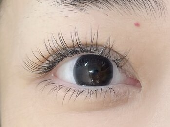 リプリ(RePuli)/フラットラッシュ200本