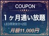 【1ヶ月通い放題】ホワイトニング 1ヶ月のみも◎ LED照射 8分×2回 ¥11000