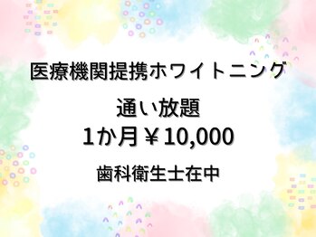 ロベリア(LoveliA)/大好評につき残り5名様限定です