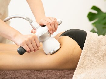 モンステラ(MONSTERA)/